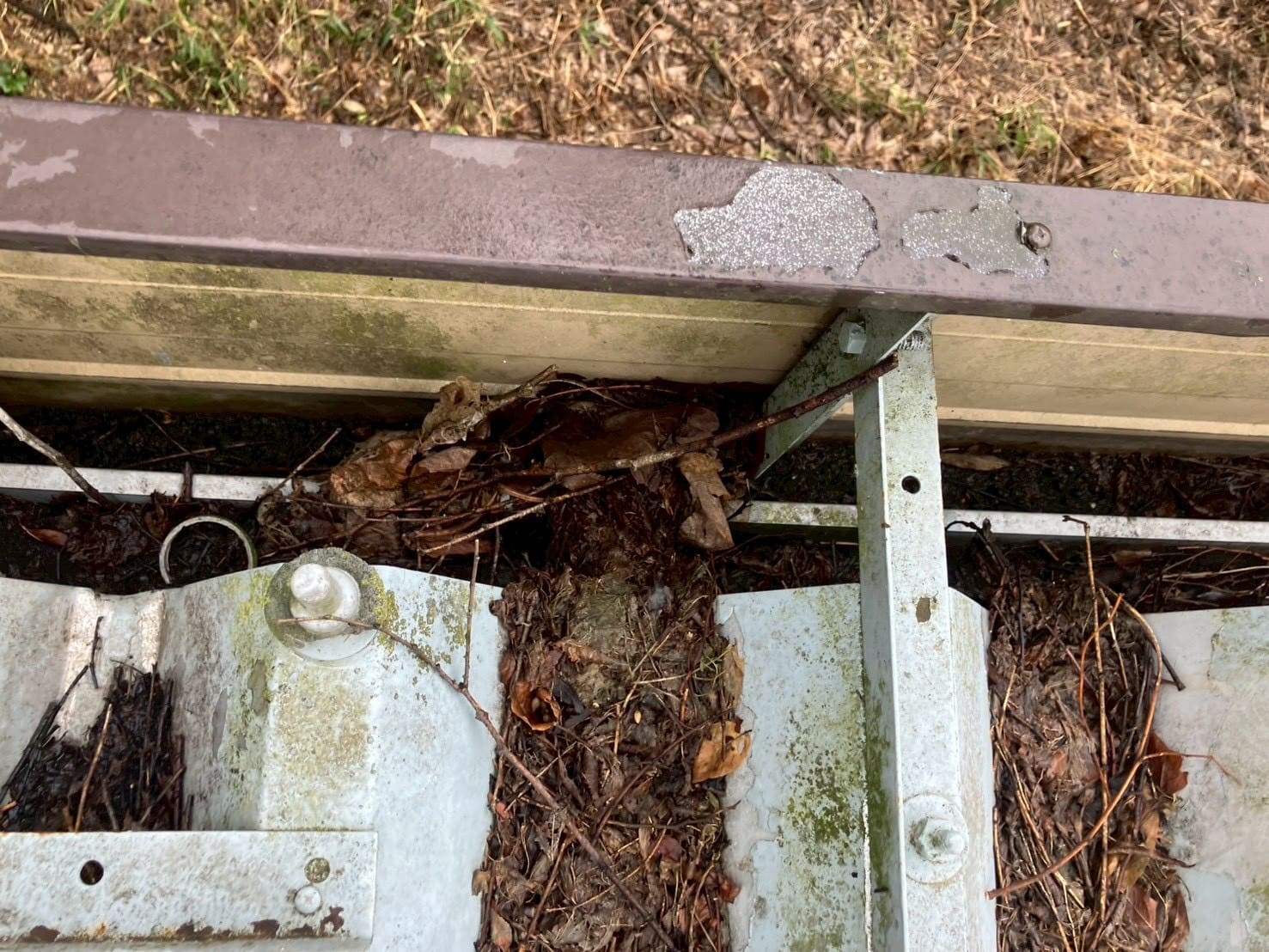 屋根ゴミの詰まり